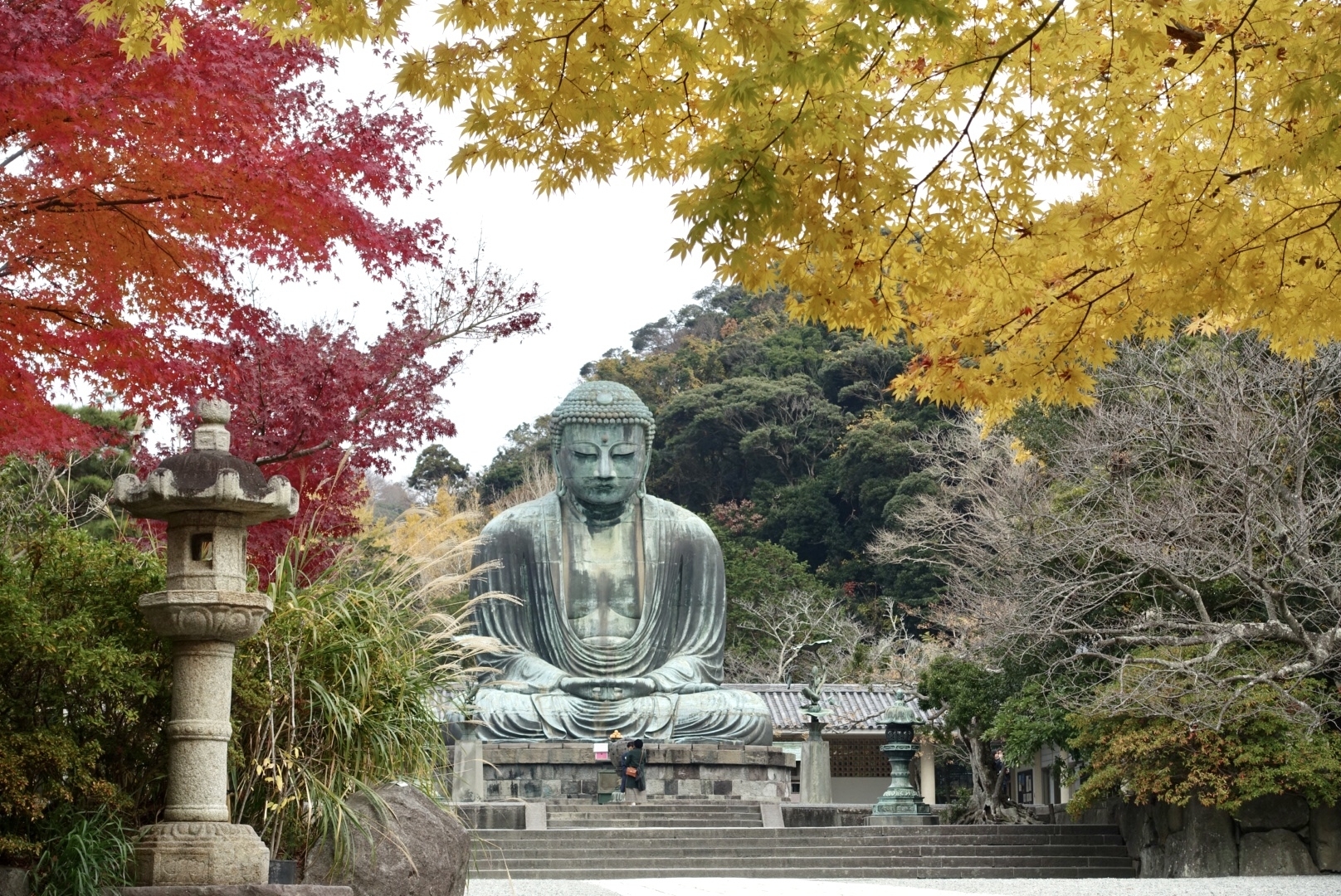 藤沢市大鋸、東橋バス停、リウマチ科、整形外科