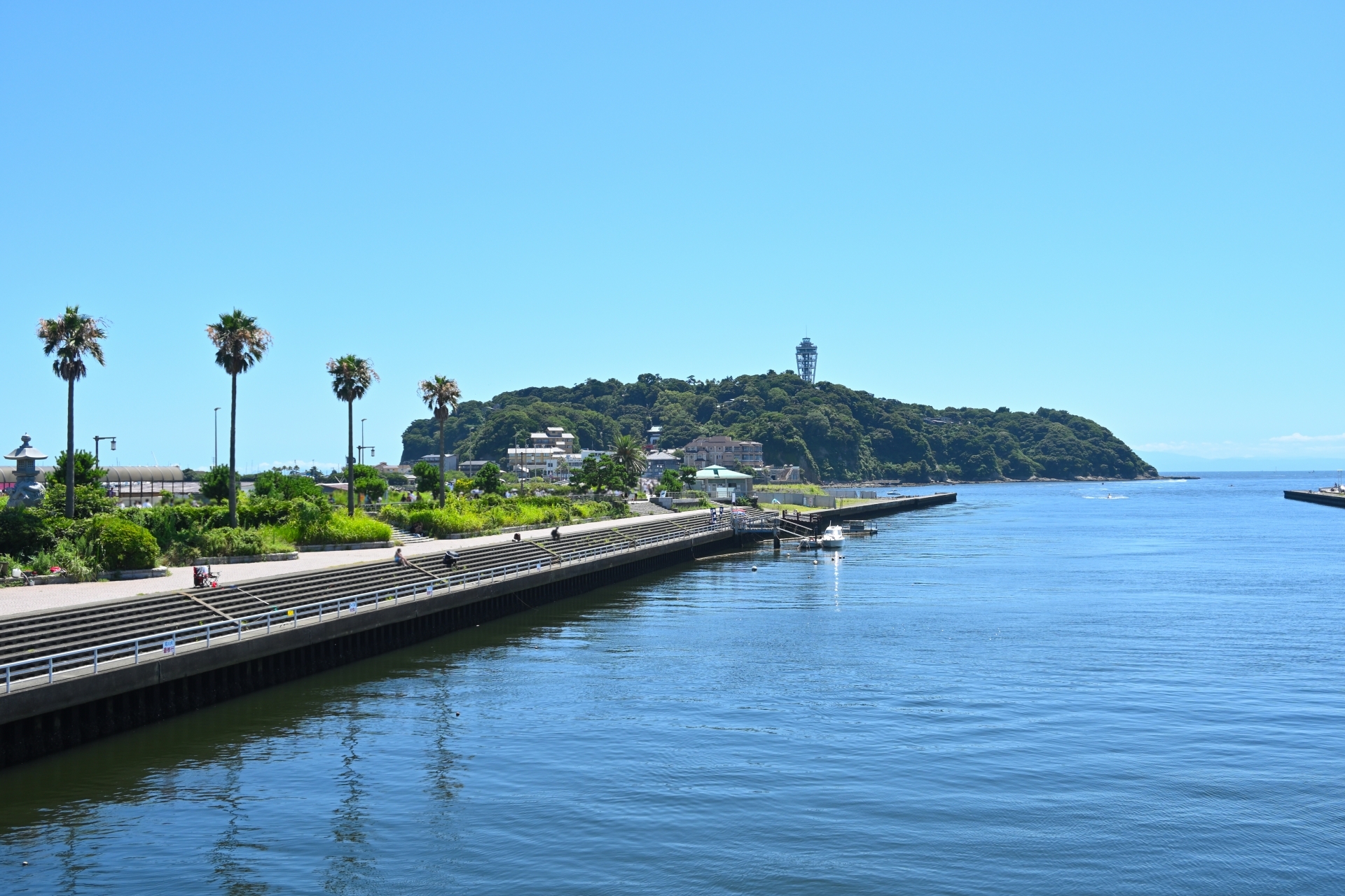 藤沢市大鋸、東橋バス停、リウマチ科、整形外科